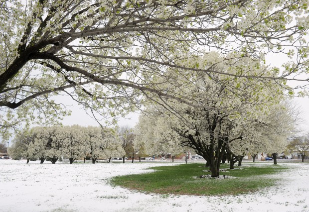 Snow in May